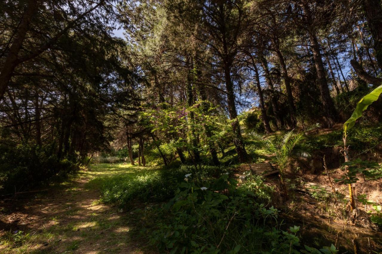 Villa Rene Koskinou  Dış mekan fotoğraf