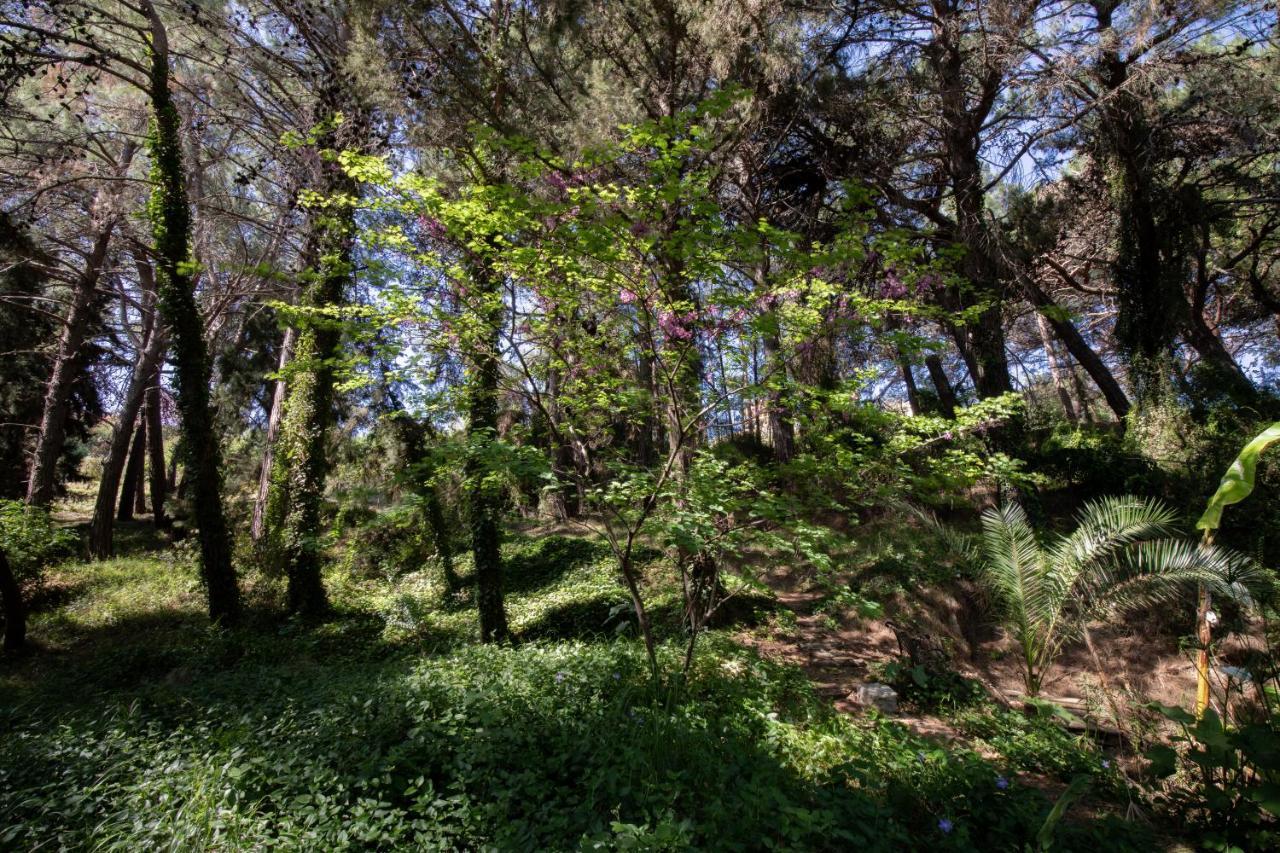 Villa Rene Koskinou  Dış mekan fotoğraf