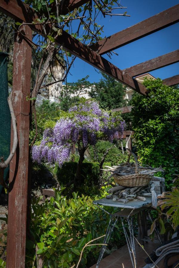 Villa Rene Koskinou  Dış mekan fotoğraf